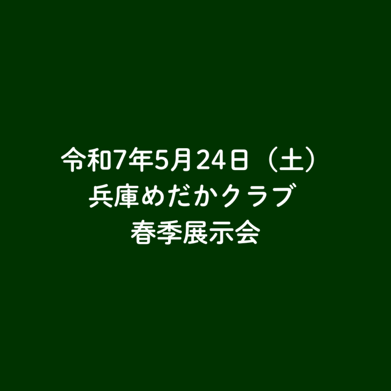 次の記事